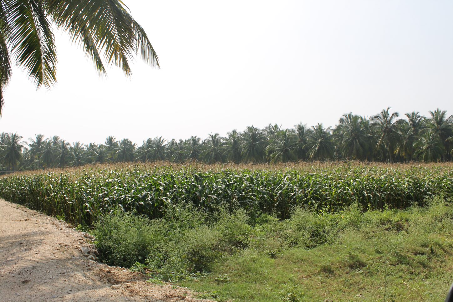 CSI Dioceses in Kerala