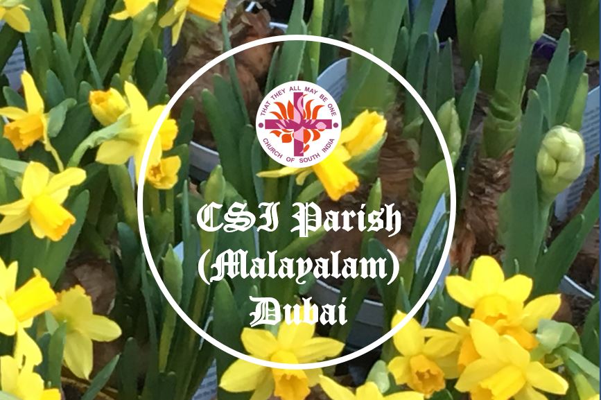 UAE CSI Women's Fellowship Conference (Dubai Parish)