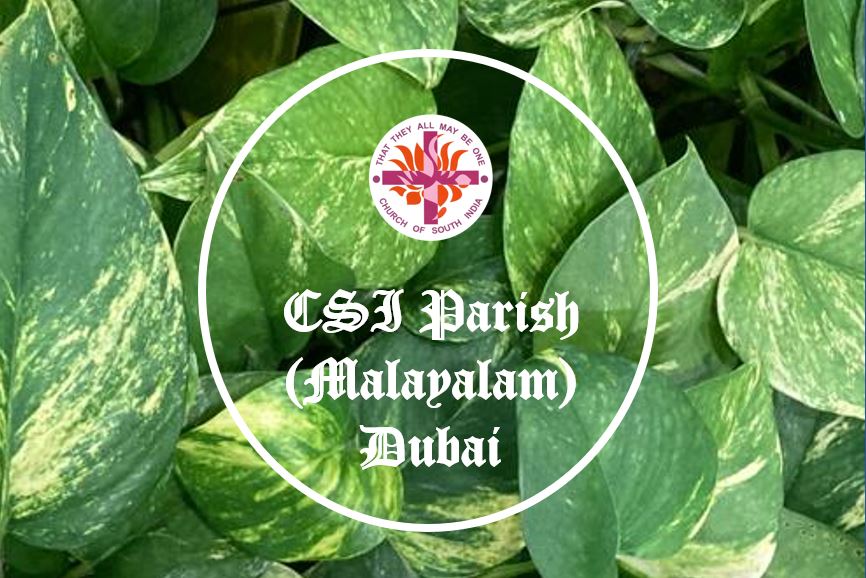 UAE CSI Youth Conference (Abu Dhabi Parish)