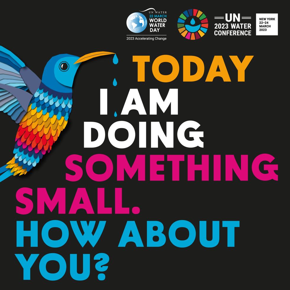 World Water Day 2023 - The story of the Hummingbird